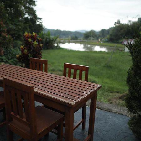 Mama Tia Family Homestay Rantepao Eksteriør billede